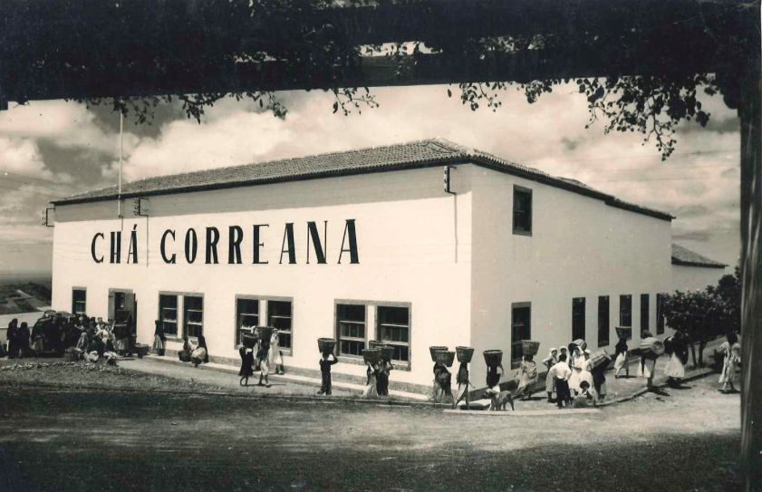 Gorreana tea