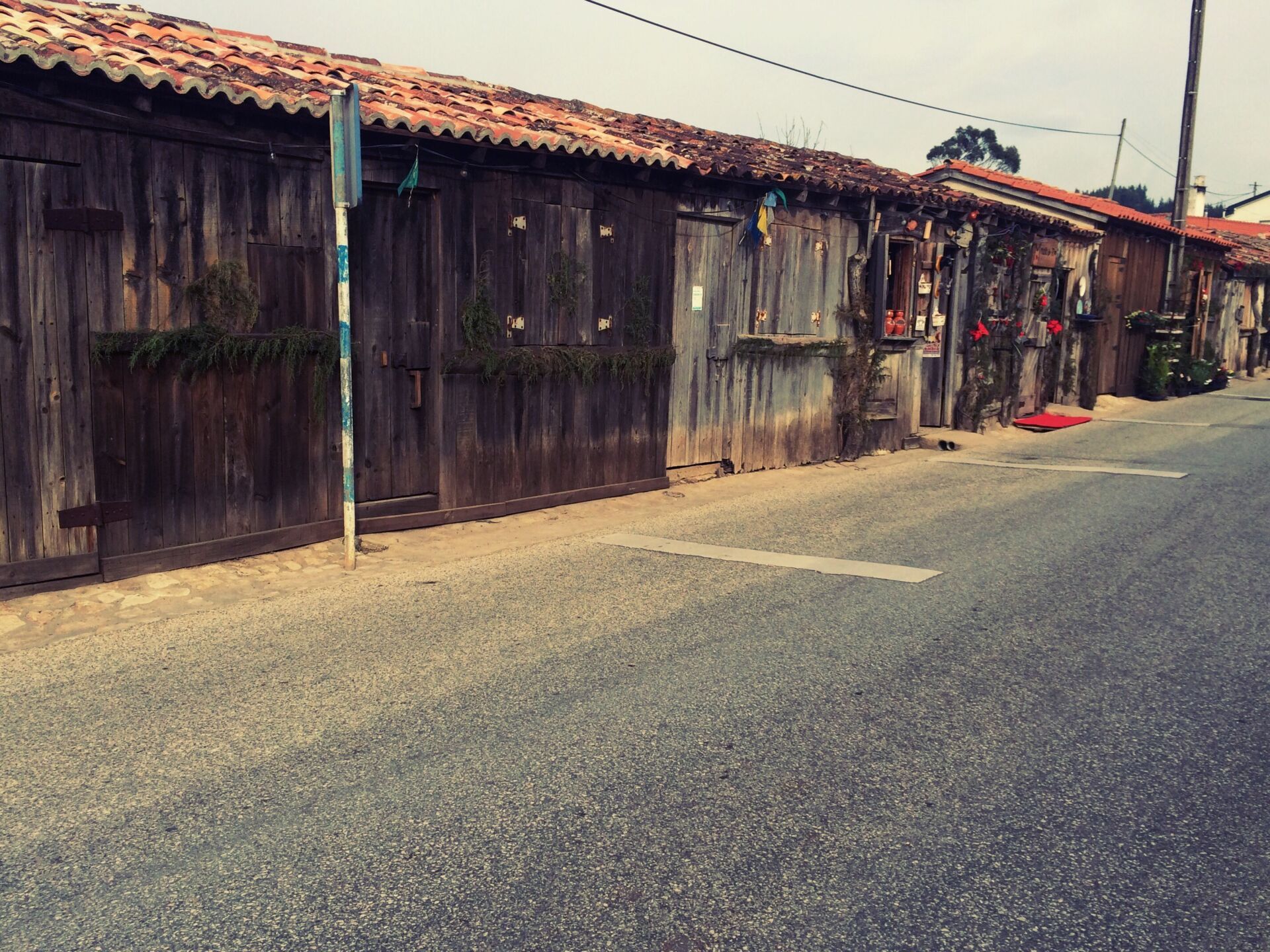 Wooden houses