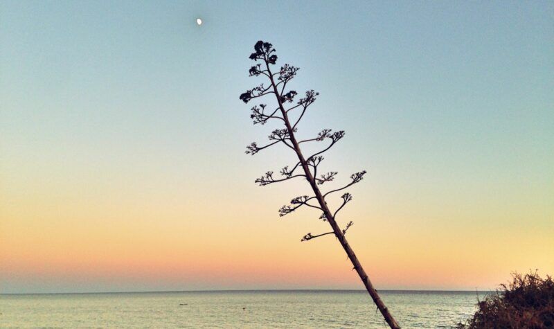 Algarve sunset