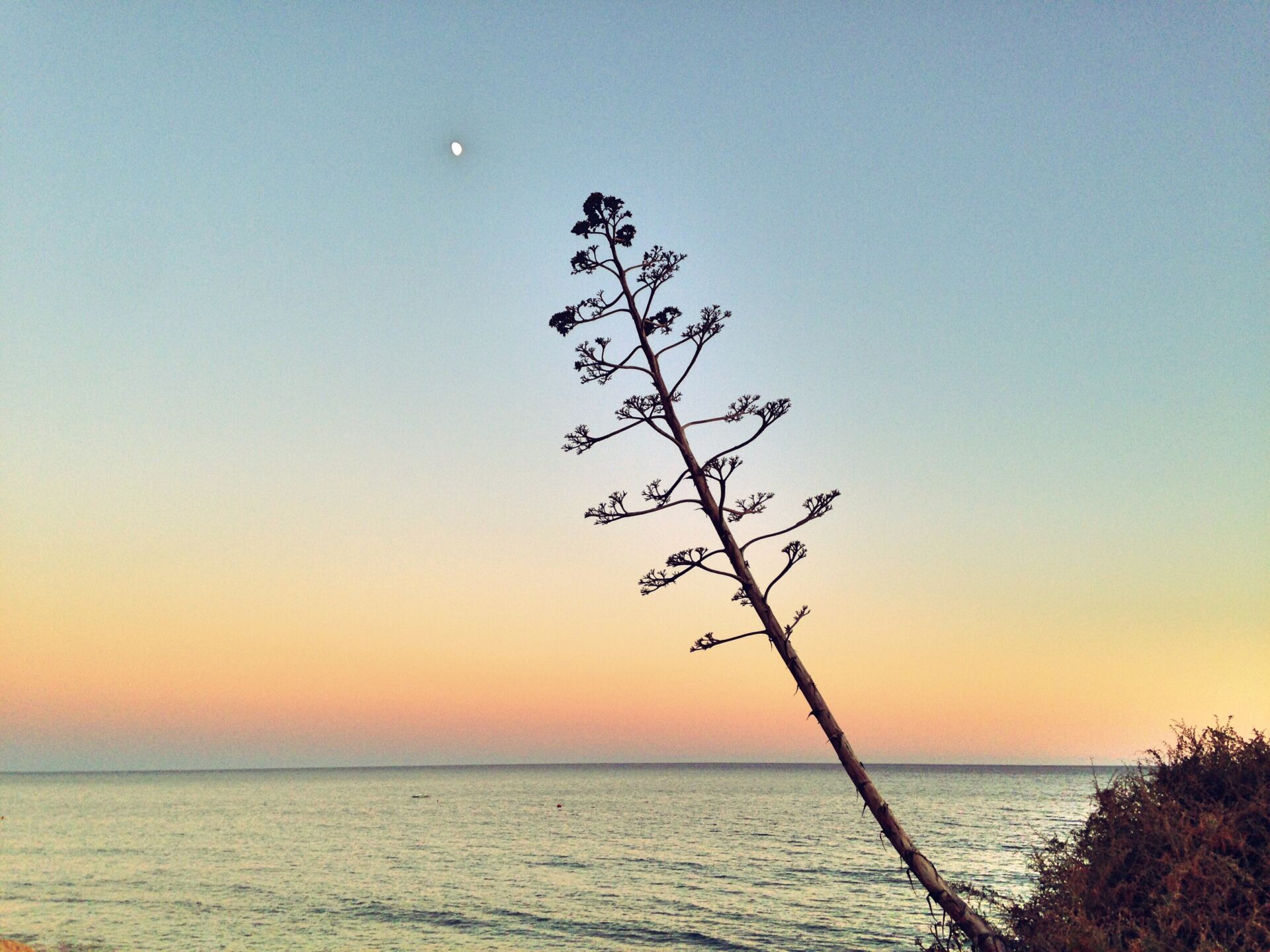Algarve sunset