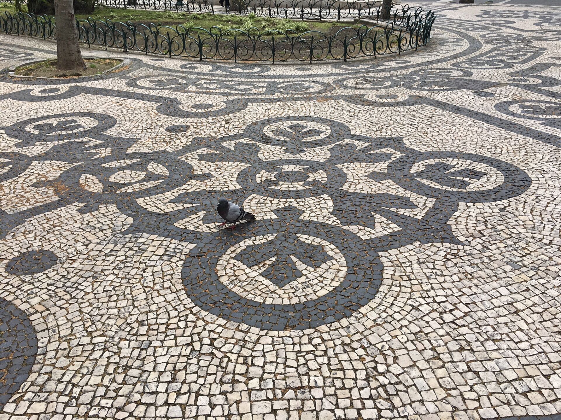 Calcada portuguesa Avenida Liberdade 2