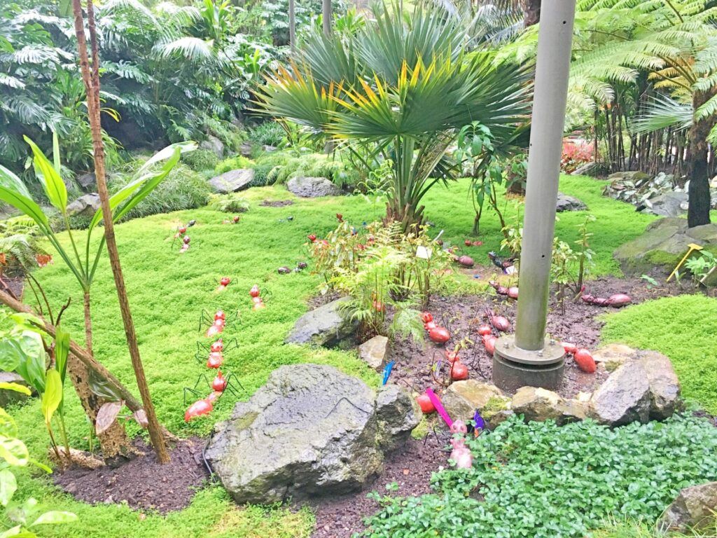 Estufa fria - formigas