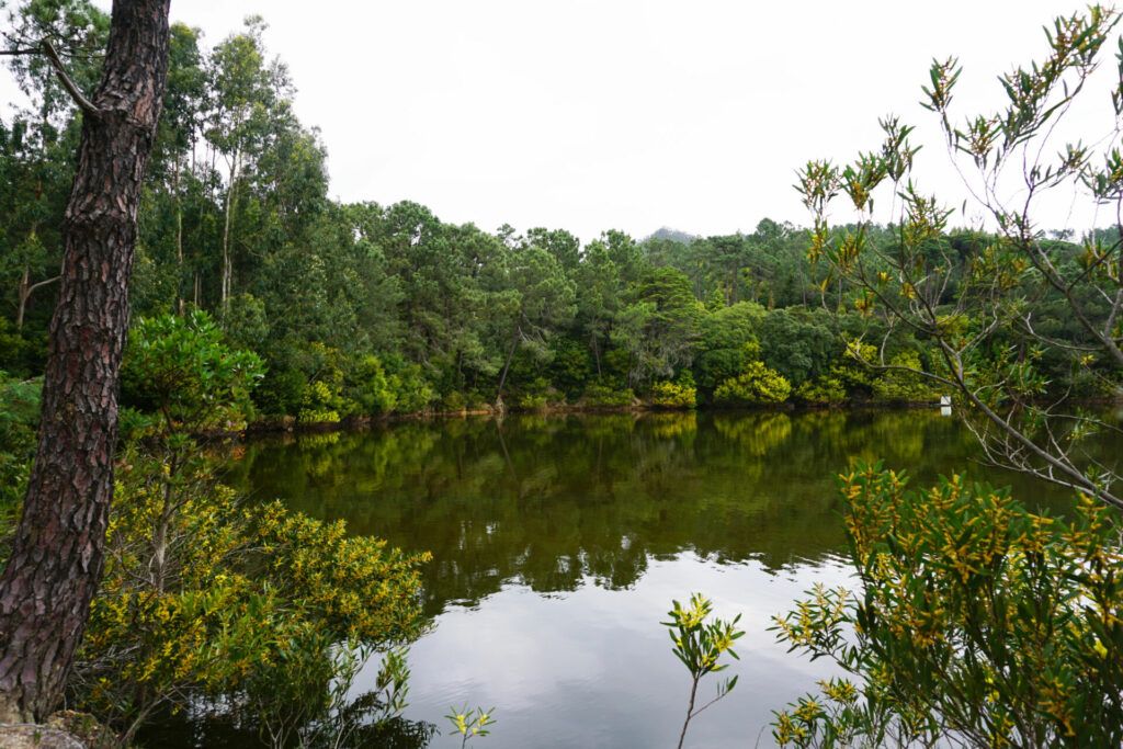 Penha Longa lake