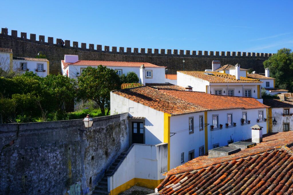 Castle walls and houses