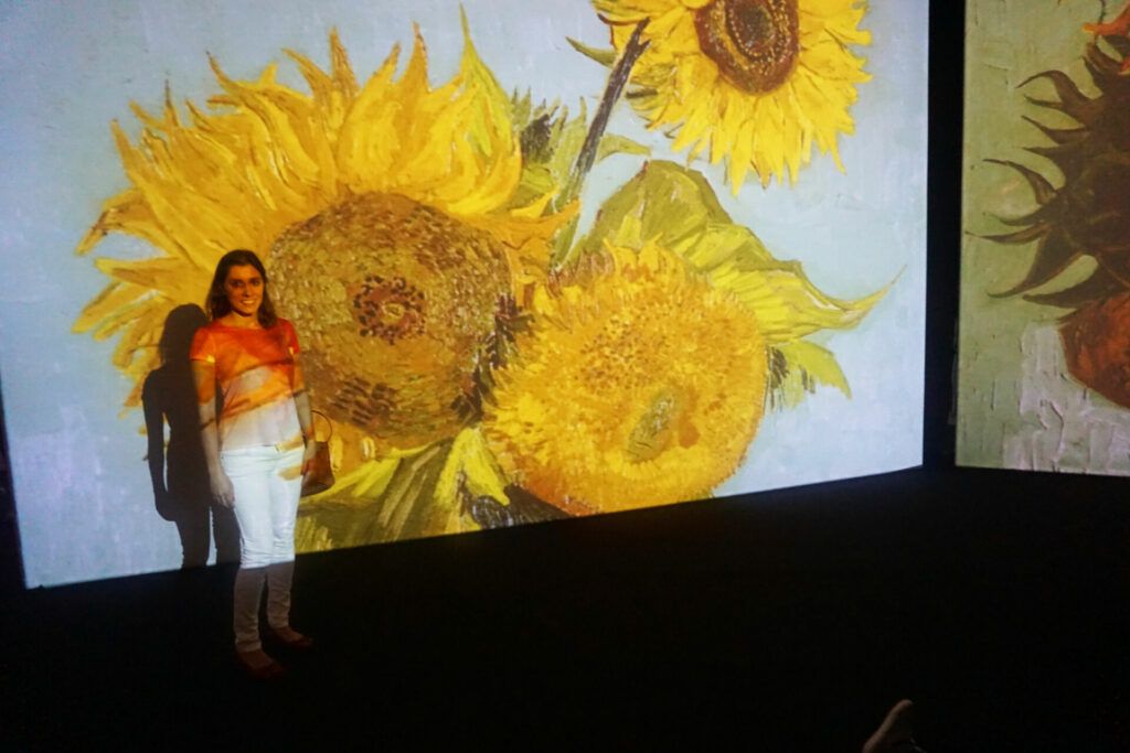 Sunflowers at Van Gogh Alive