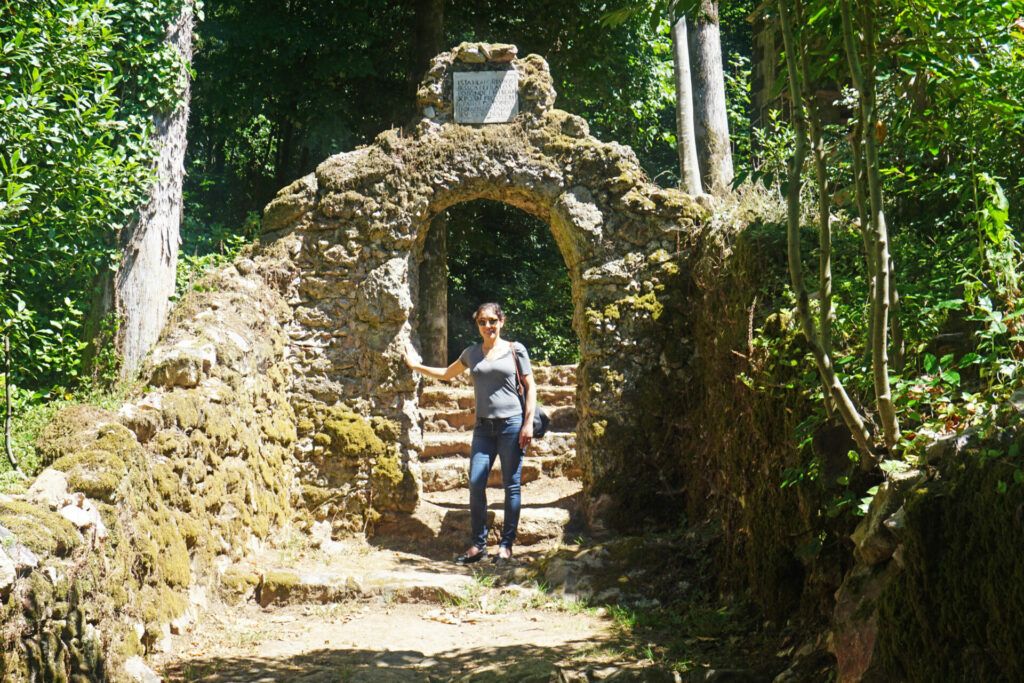 Discovering the Buçaco woods