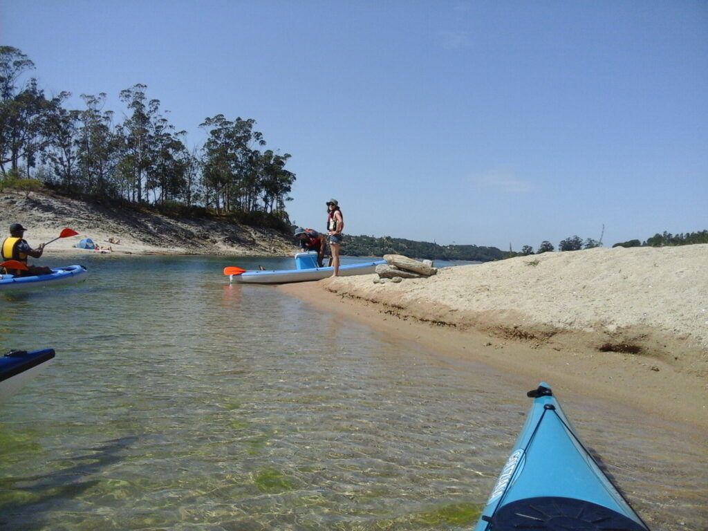 Wild Duck Adventures island