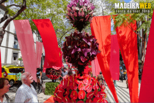 Madeira's flowers - street decorations