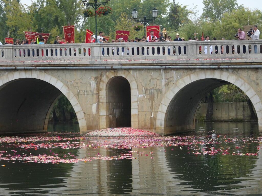 Bridge in Tomar