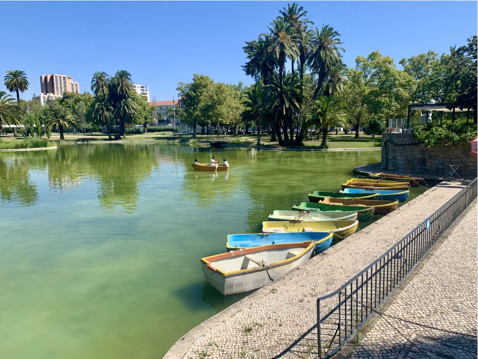 Parque Do Campo Grande A Park You Didn t Know Was There A Portuguese 