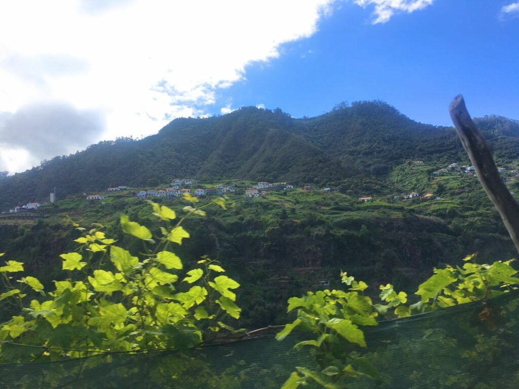 Mountains Madeira