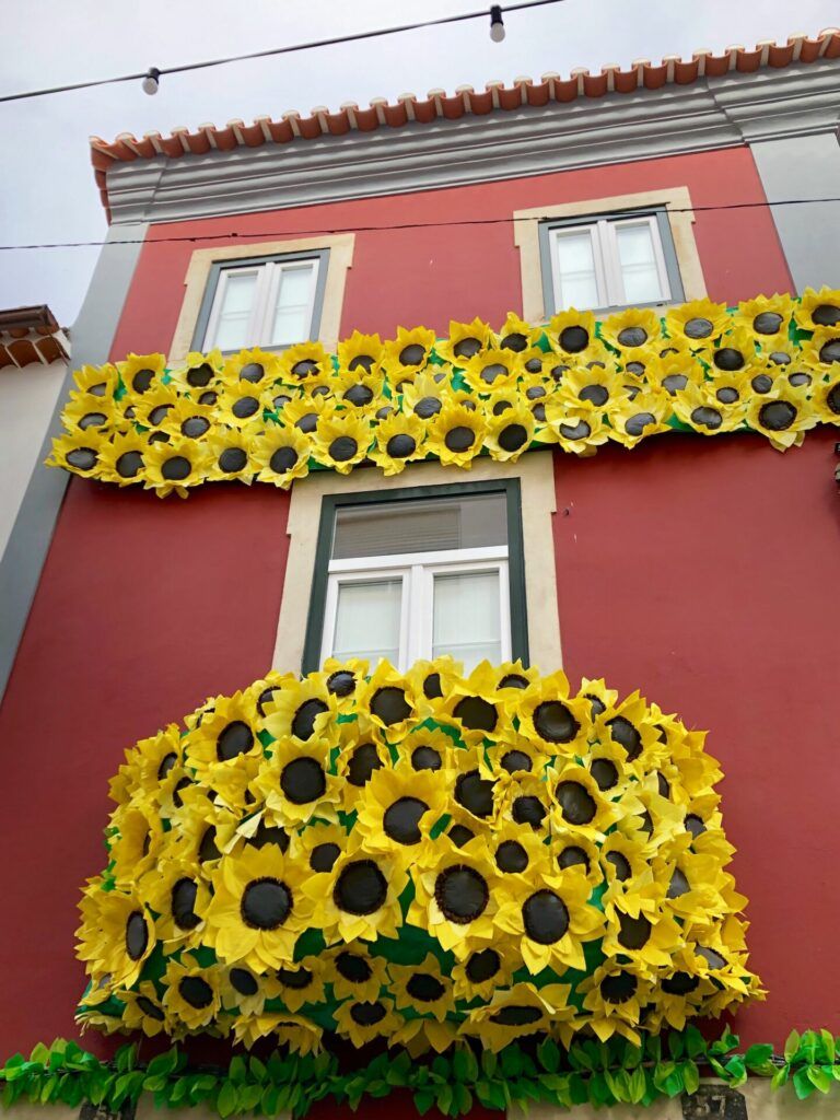 Festa dos Tabuleiros girassois