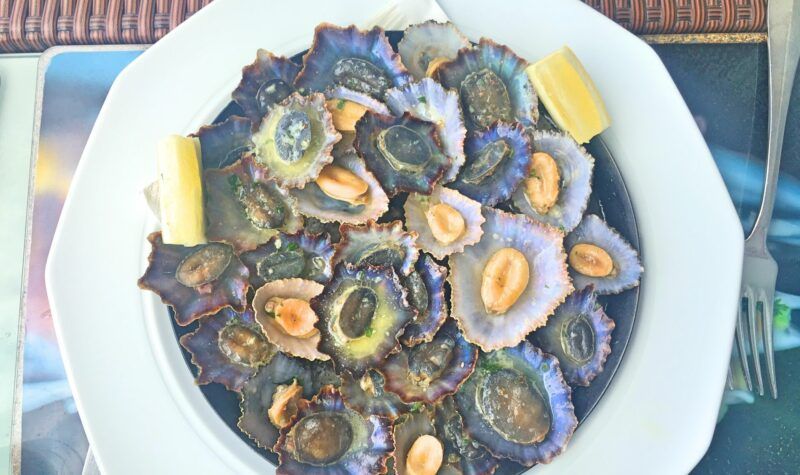 Lapas - limpets