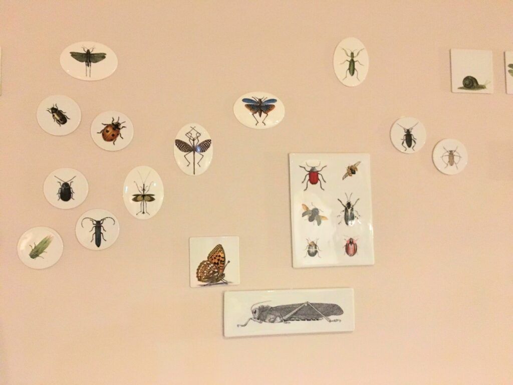 Insect art by Vista Alegre