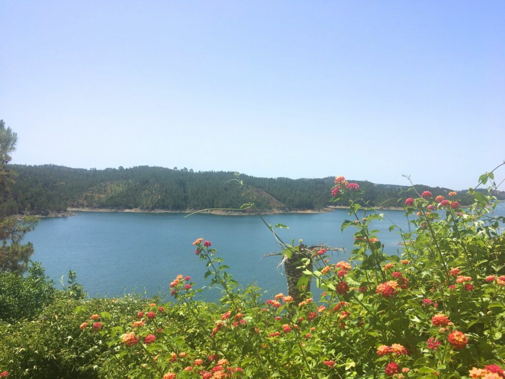 Wild Duck Adventures views