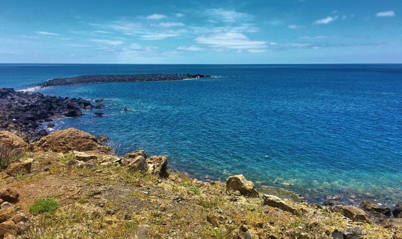 Monk seal bay Ilhas Desertas