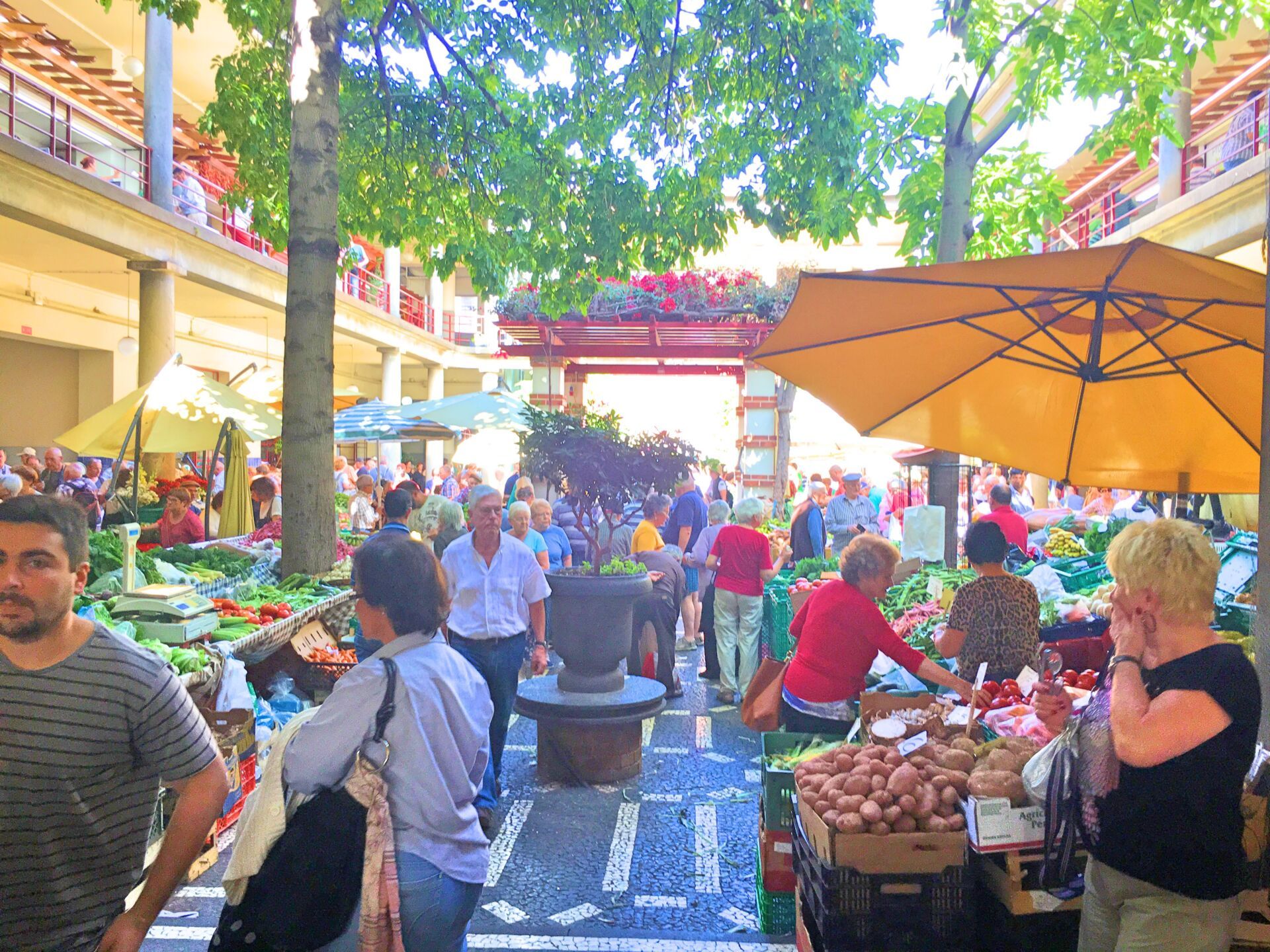 Veggies Mercado dos Lavradores