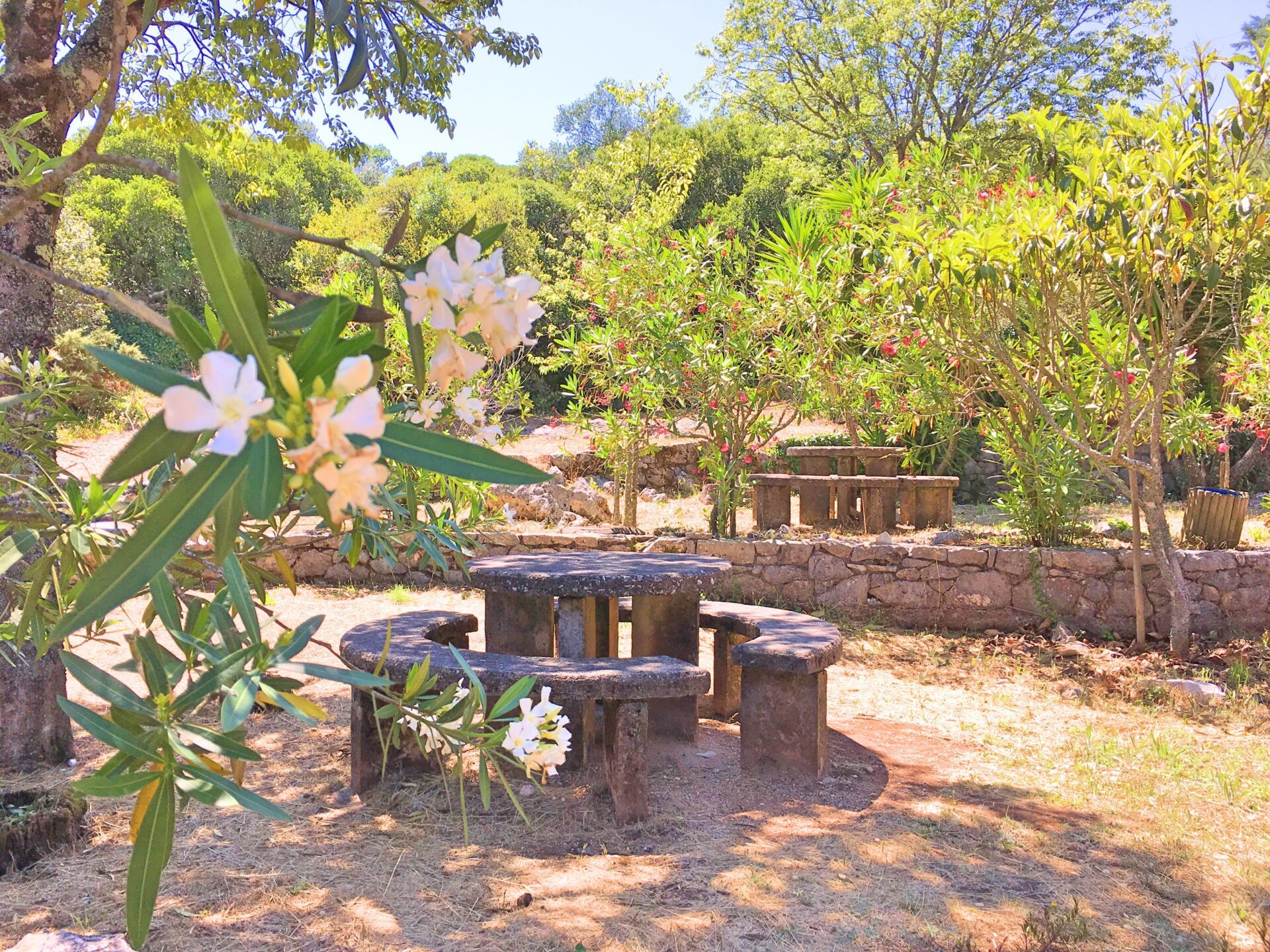 Picnic - Santo António caves