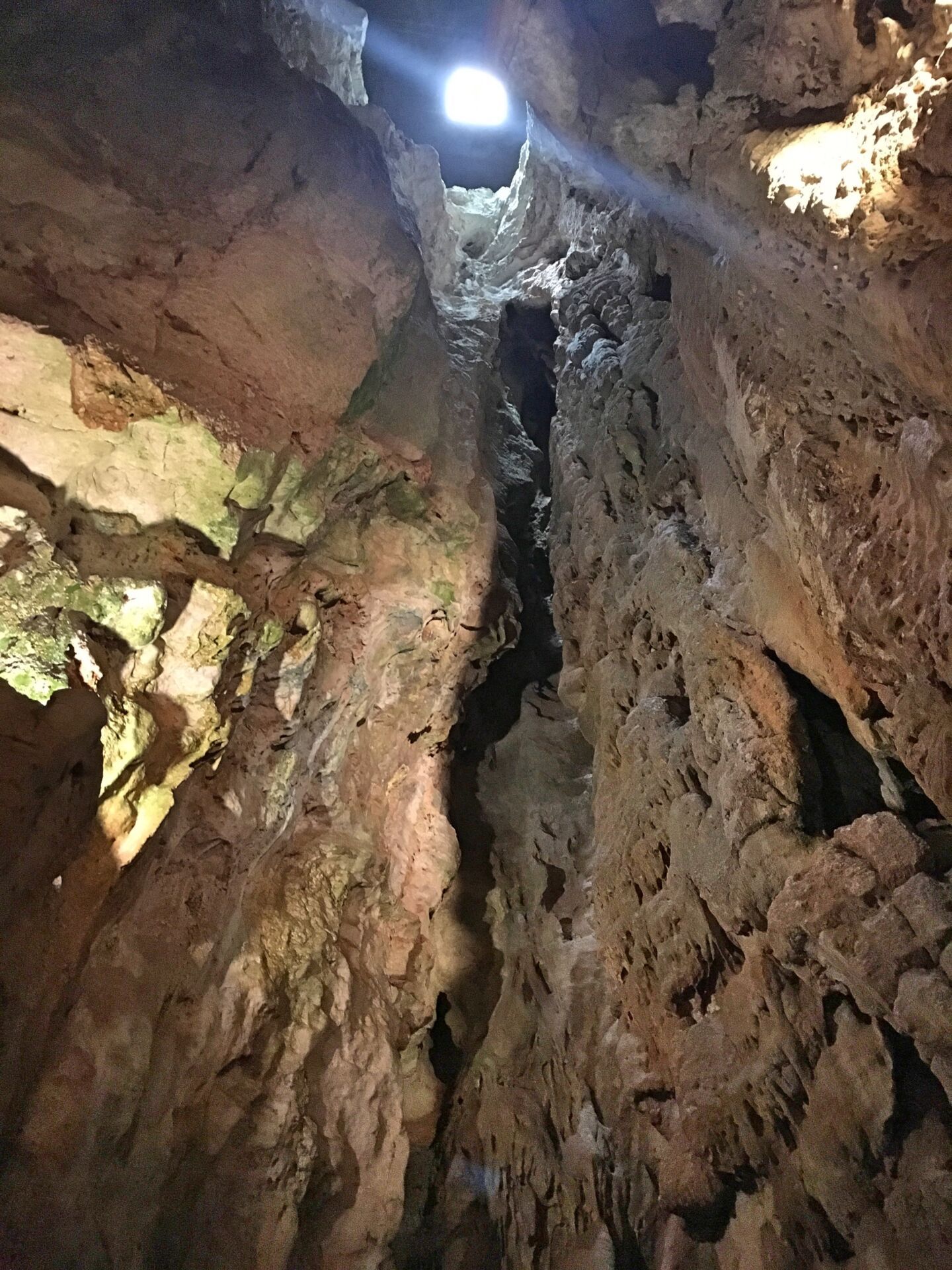 Bird hole - Grutas de Santo António