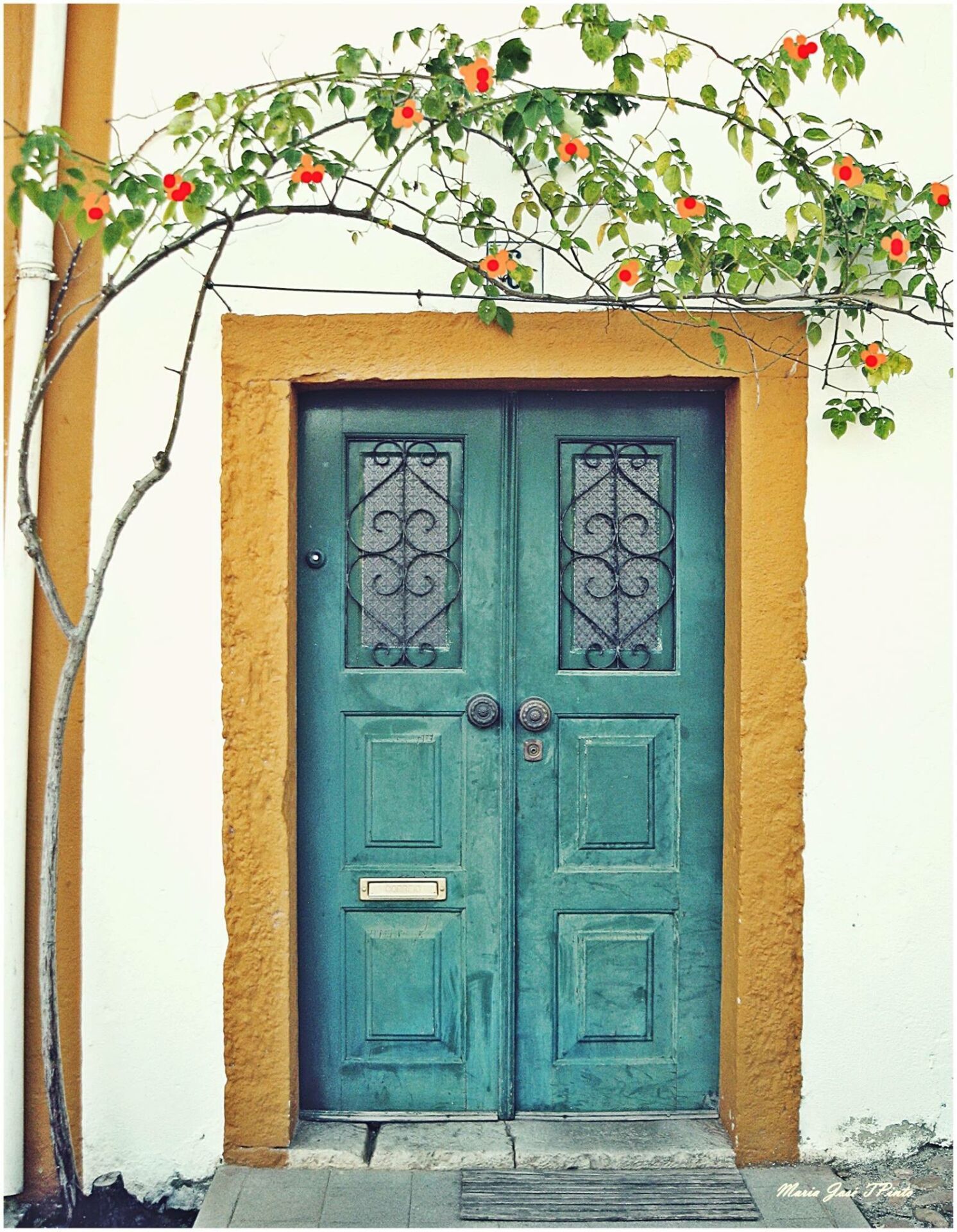 Portuguese door 4