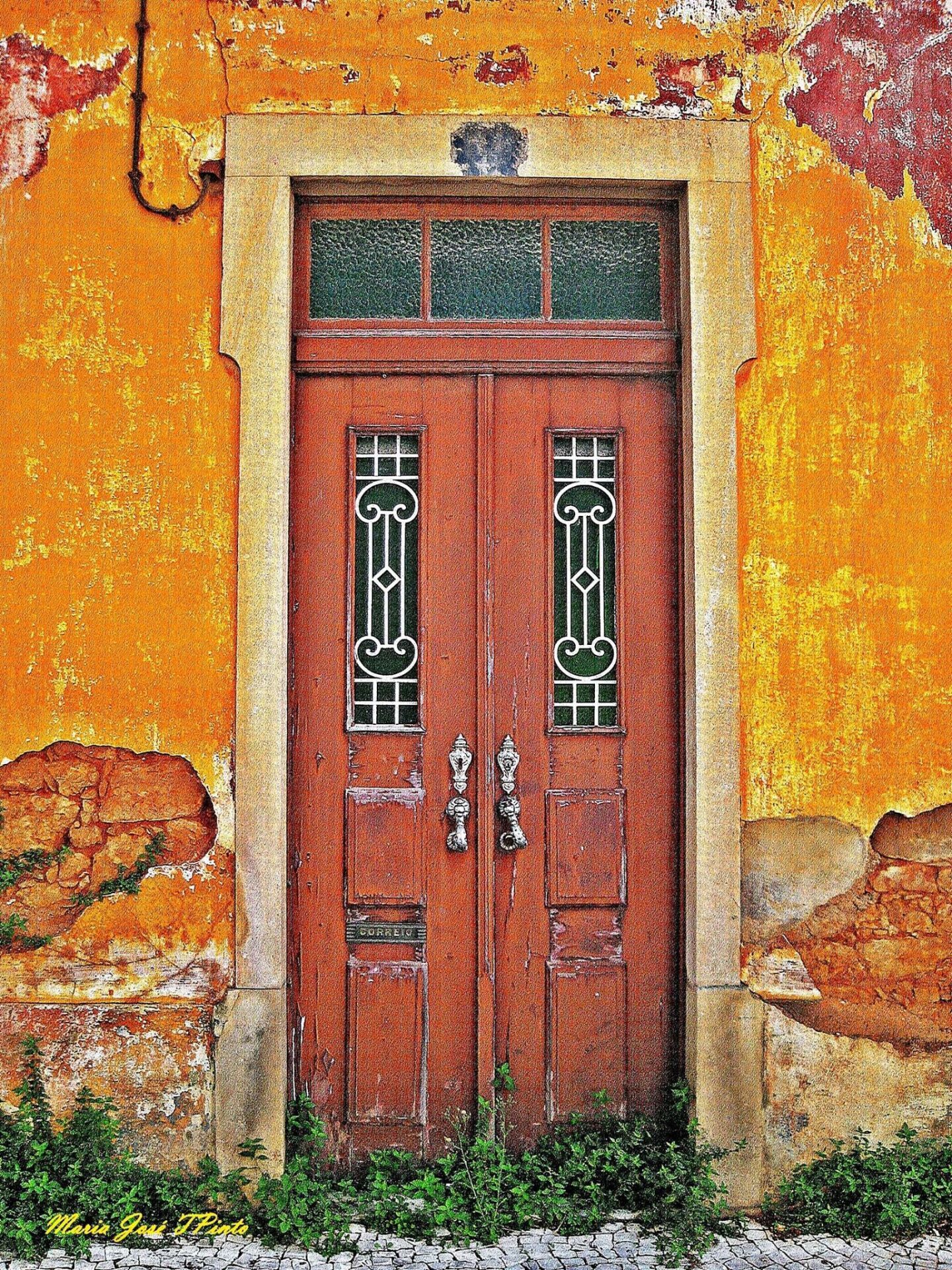 Portuguese door 2