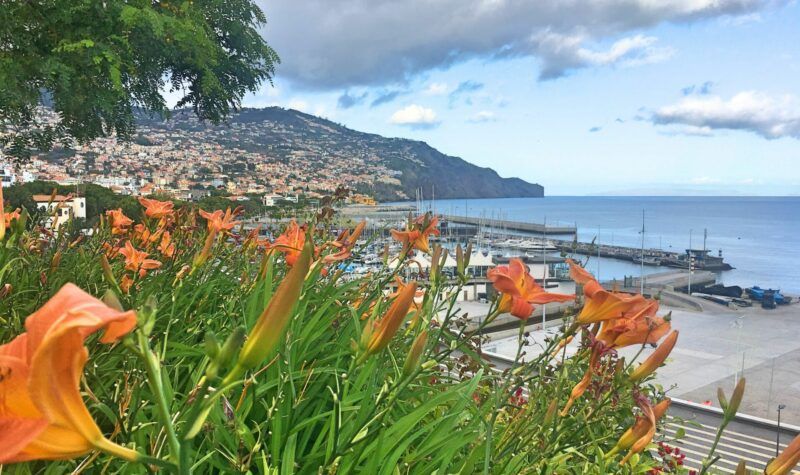 Flowers and Funchal