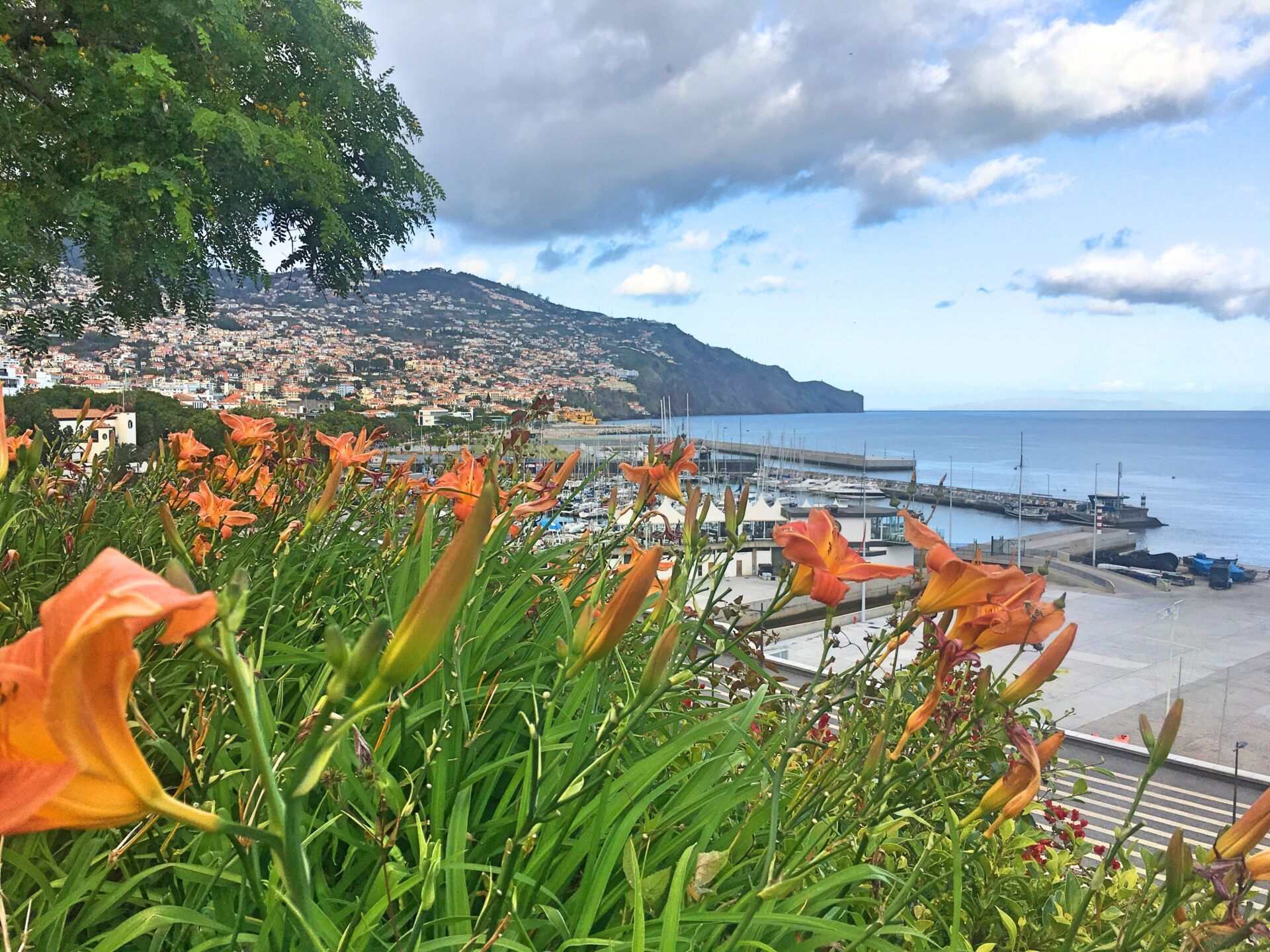 Flowers and Funchal